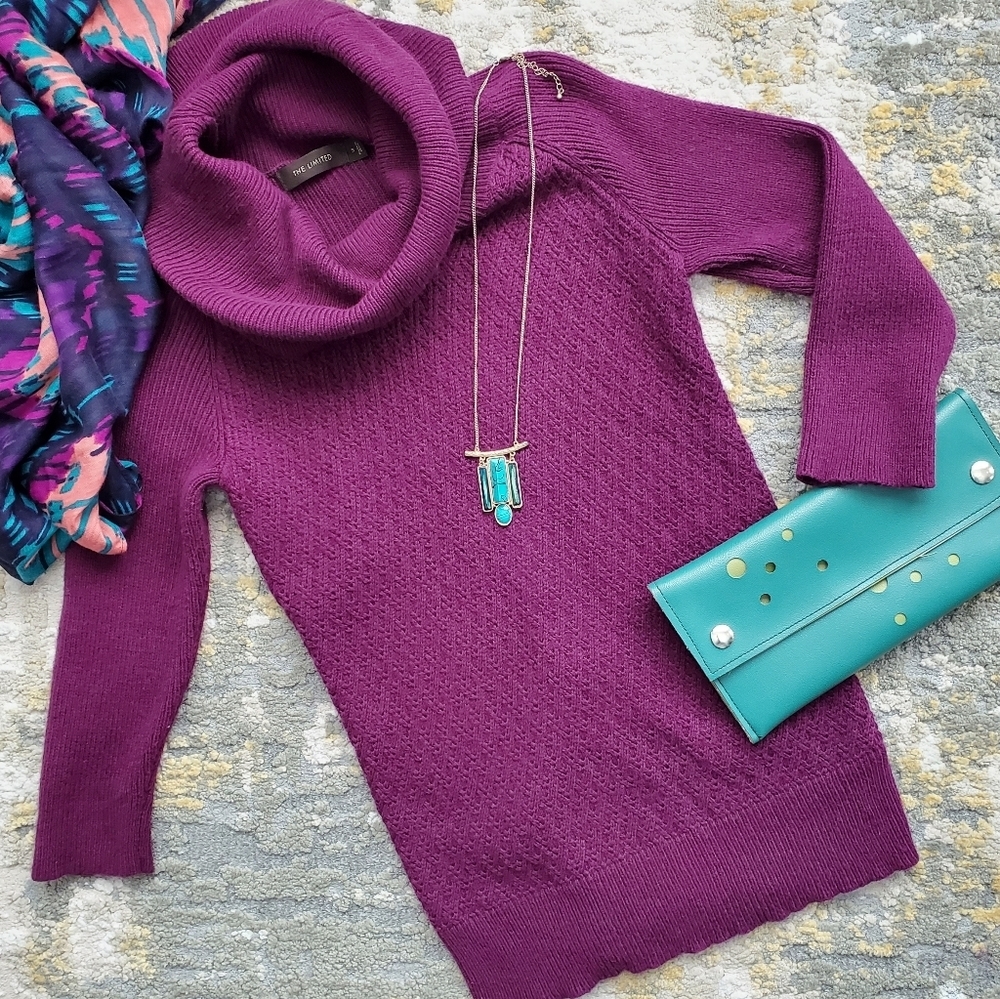 The Limited Magenta Cowl Neck Sweater